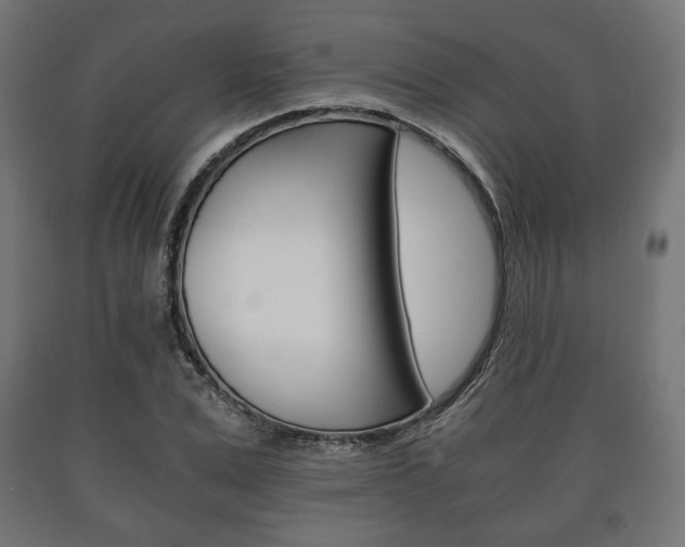 X0000090990975200708021159