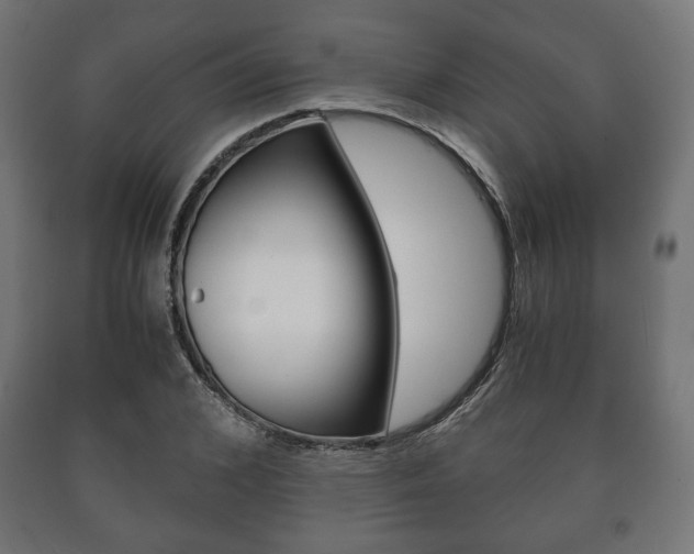 X0000090990976200708021159