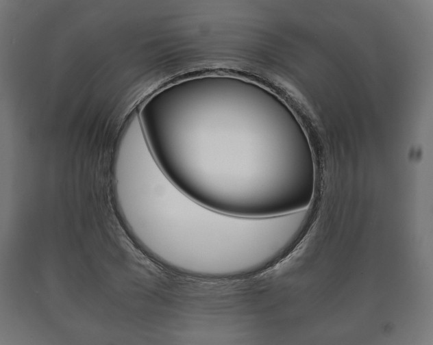 X0000090990977200708021159