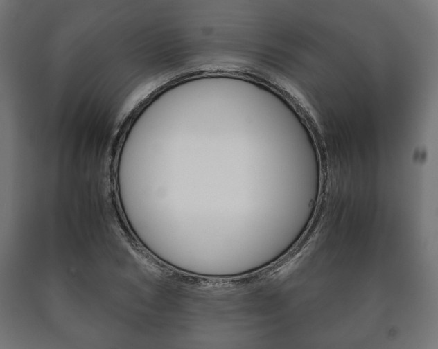 X0000090990978200708021159
