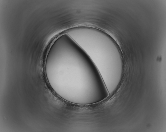 X0000090990979200708021159