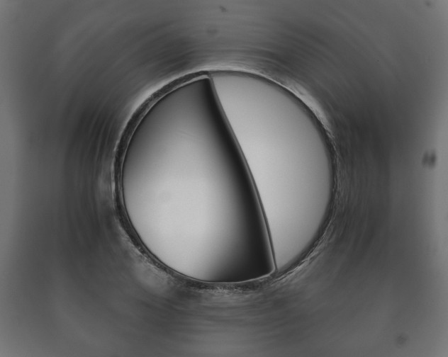 X0000090990980200708021159