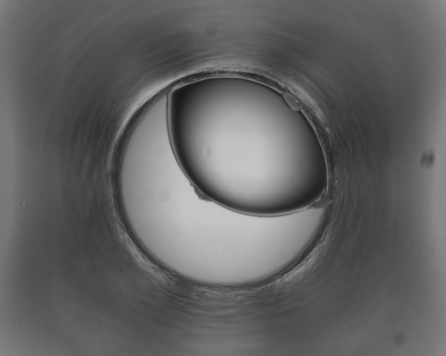 X0000090990981200708021159