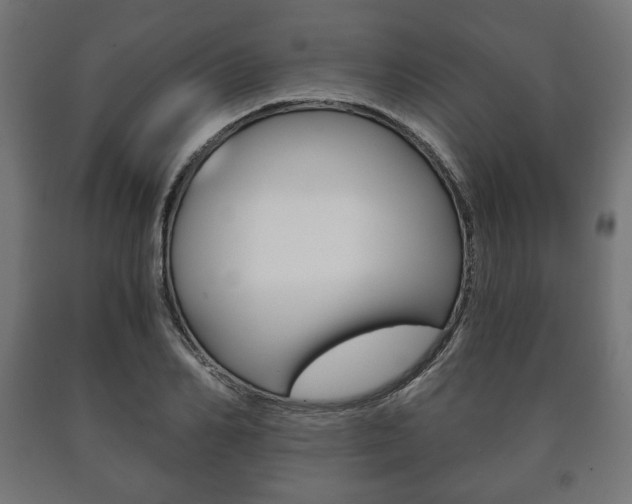 X0000090990982200708021159