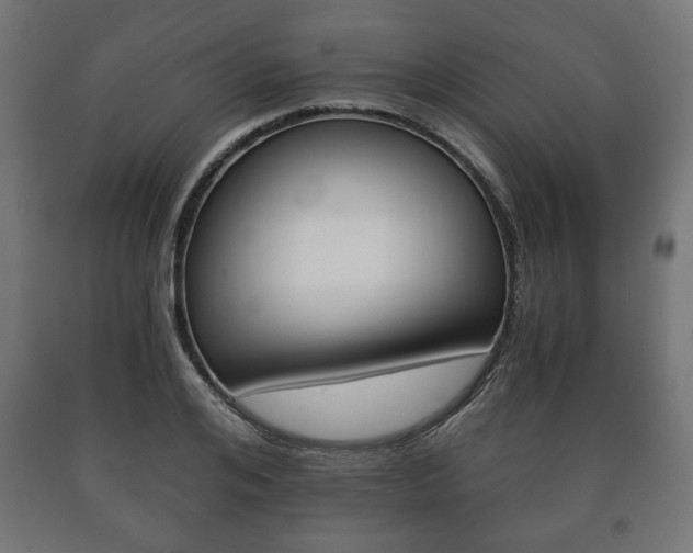 X0000090990984200708021159