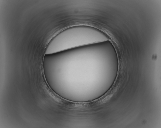 X0000090990985200708021159