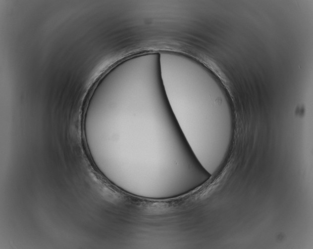 X0000090990986200708021159