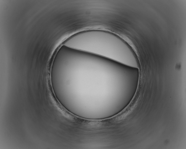 X0000090990989200708021159