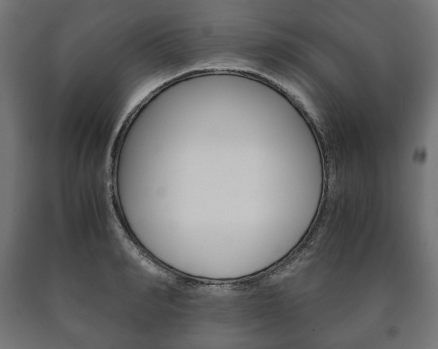 X0000090990990200708021159