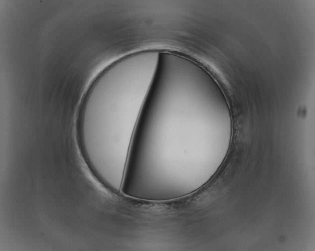 X0000090990991200708021159