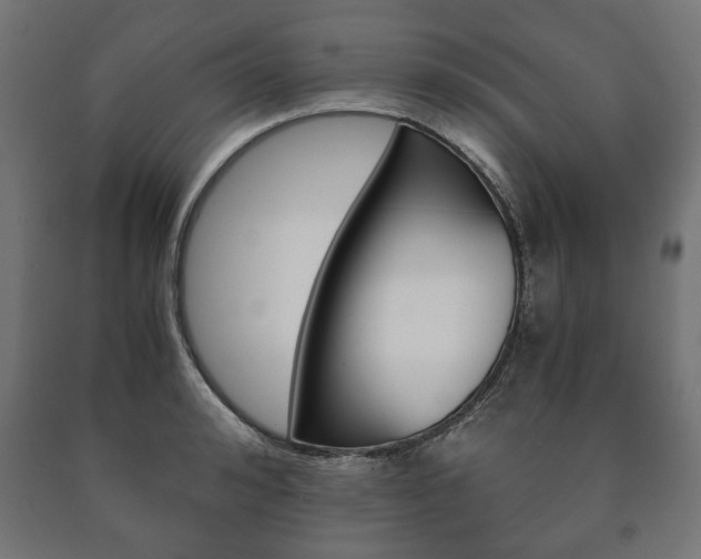 X0000090990992200708021159