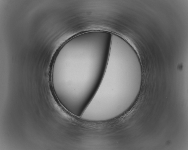 X0000090990995200708021159