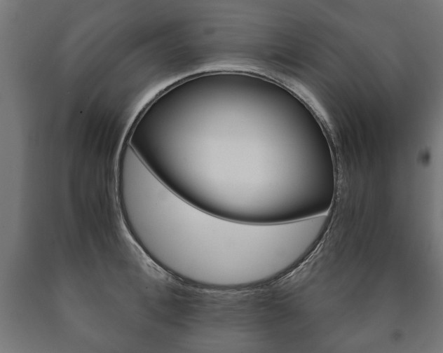 X0000090990996200708021159