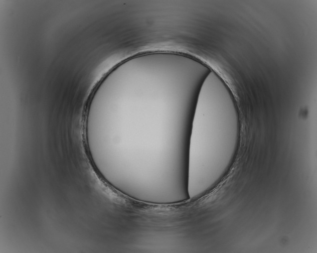 X0000090990998200708021159