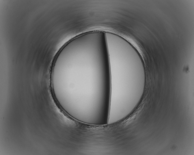 X0000090990999200708021159