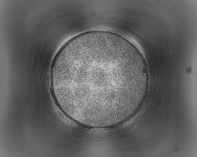 X0000090991000200708021159