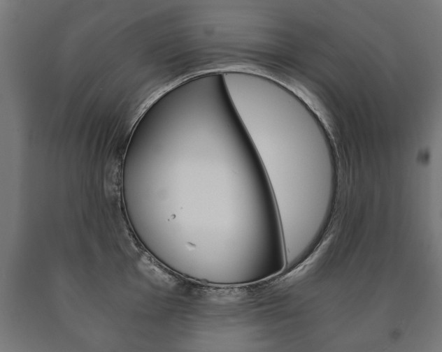 X0000090991001200708021159