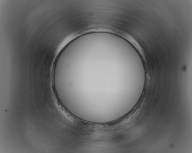 X0000090991002200708021159