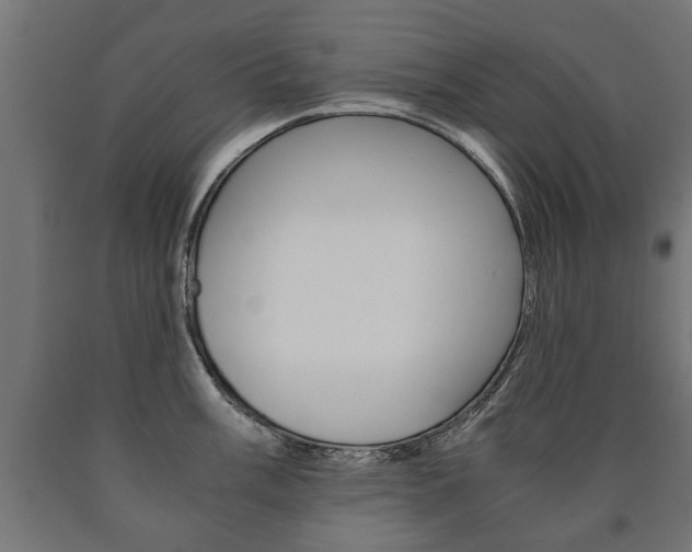 X0000090991003200708021159