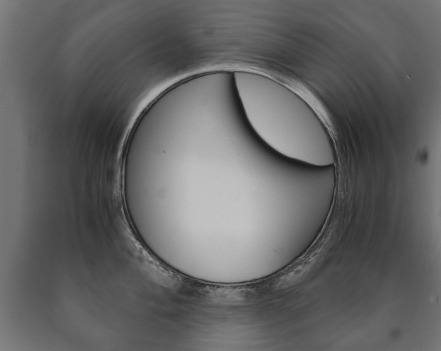 X0000090991004200708021159