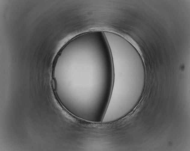 X0000090991005200708021159