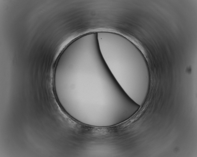 X0000090991006200708021159
