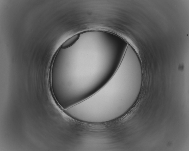 X0000090991007200708021159
