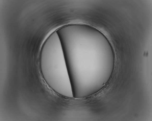 X0000090991008200708021159