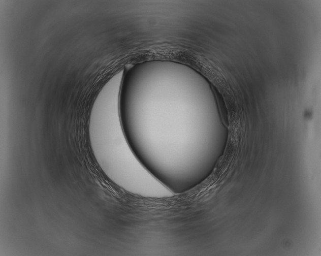 X0000090991010200708021158