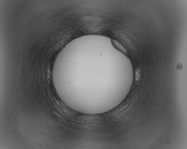 X0000090991011200708021158