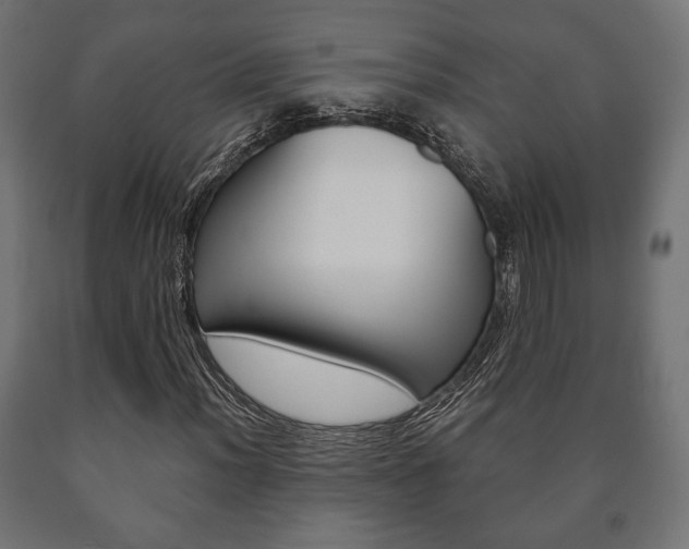 X0000090991012200708021158