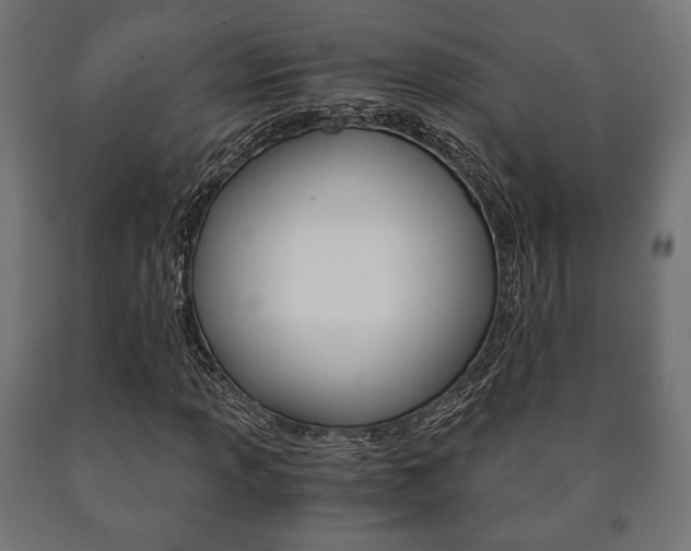 X0000090991013200708021158