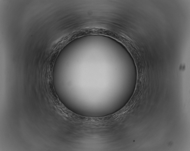 X0000090991014200708021158