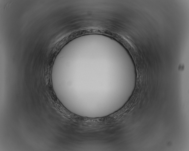 X0000090991015200708021158