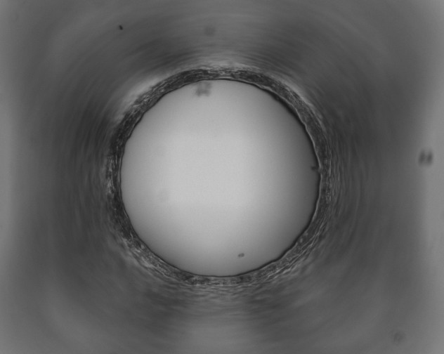 X0000090991016200708021158