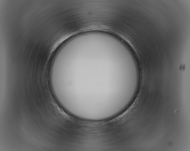 X0000090991018200708021158