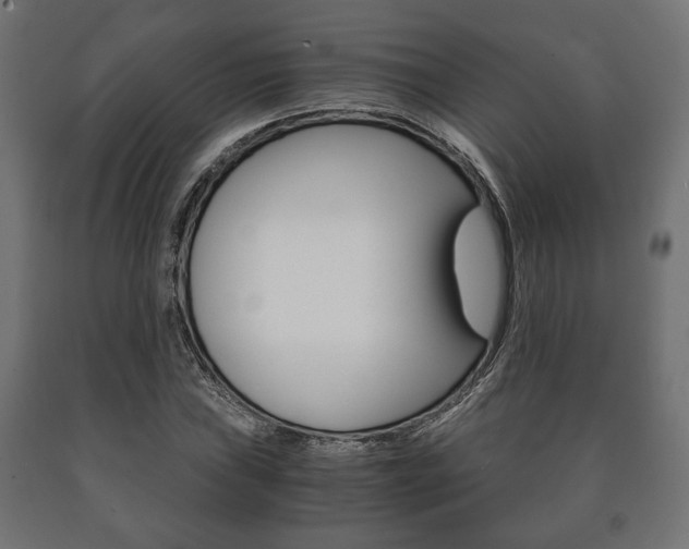 X0000090991019200708021158