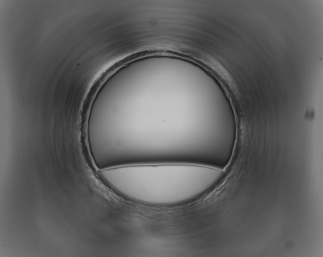 X0000090991020200708021158