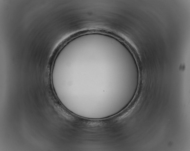 X0000090991021200708021158