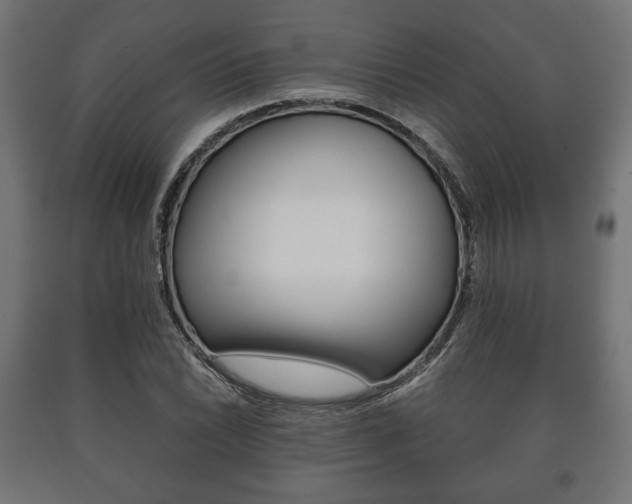 X0000090991022200708021158