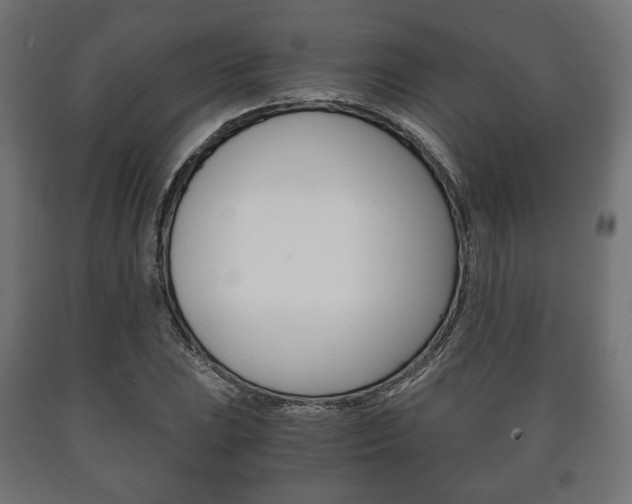 X0000090991023200708021158