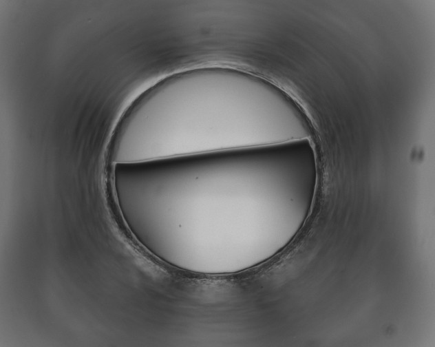 X0000090991024200708021158
