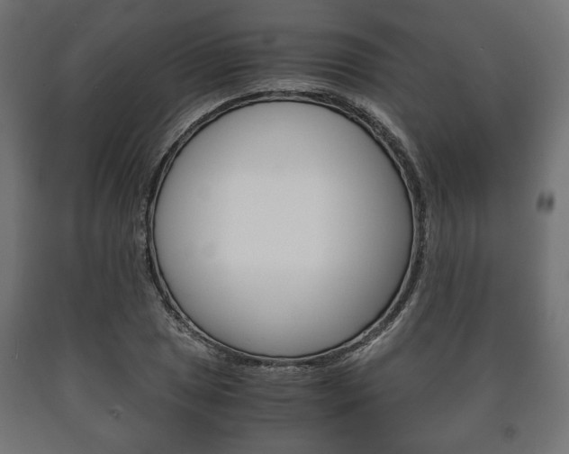 X0000090991025200708021158