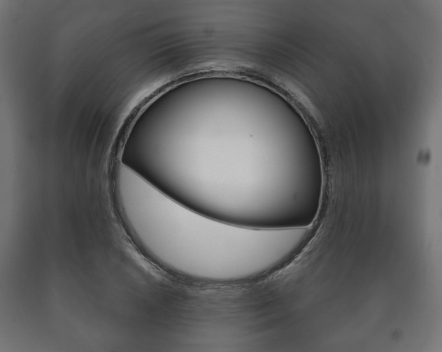 X0000090991026200708021158