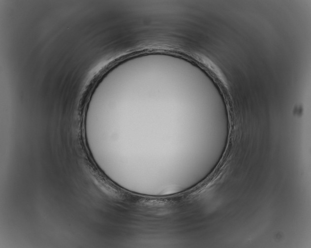 X0000090991027200708021158
