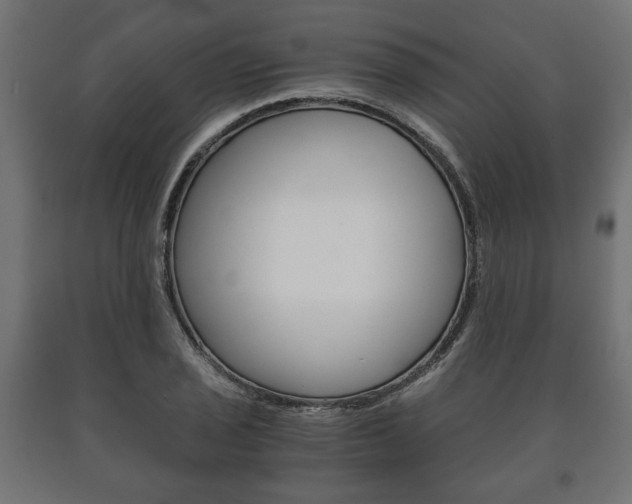 X0000090991029200708021158