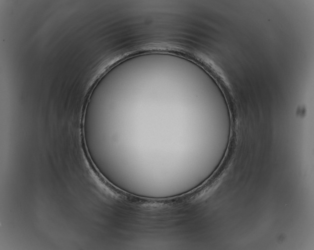 X0000090991033200708021158