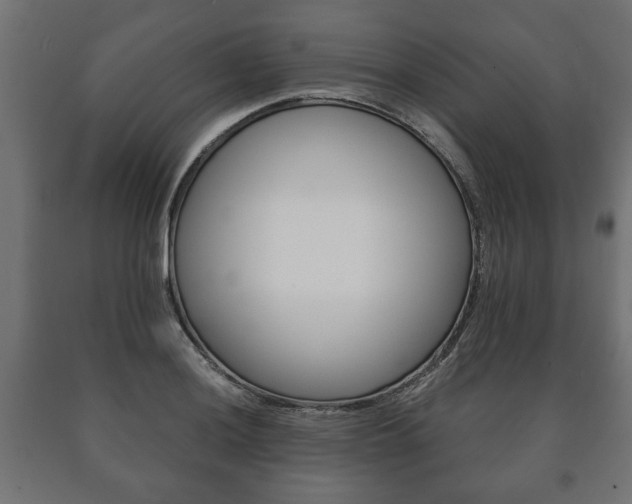 X0000090991036200708021158