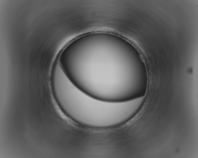 X0000090991038200708021158