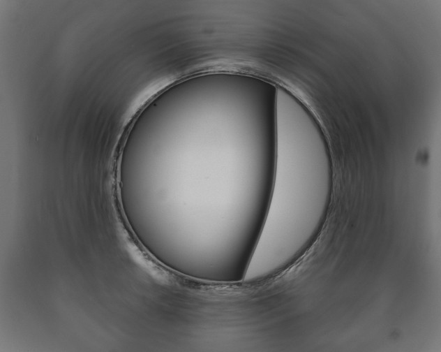 X0000090991042200708021158